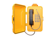 Door Cover Heavy Duty Telephone With Vandal Resistant Stainless Steel Button