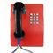 Vandal Resistant Hospital Telephone with Rugged Handset and Metal Keypad