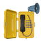 Wall / Pillar Mounting Industrial SIP Phone With Flashing Lamp And Horn