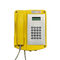 ATEX Resisttel IECEX Explosion Proof VoIP Telephone Wall Mounted