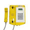 ATEX Resisttel IECEX Explosion Proof VoIP Telephone Wall Mounted